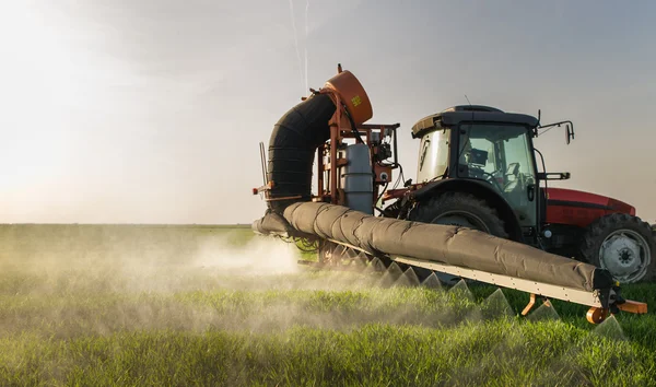 Traktor versprüht Weizenfeld — Stockfoto