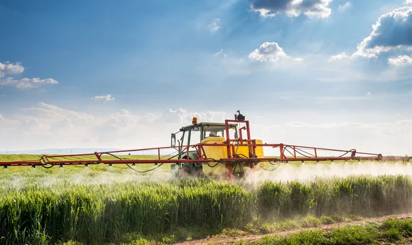 Traktor bespruta vete fält — Stockfoto