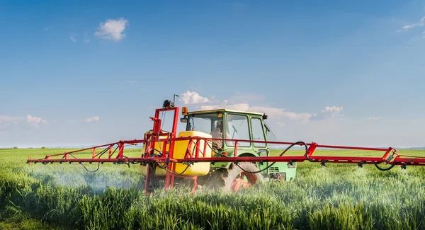 Tractor spraying wheat field — Stock Photo, Image