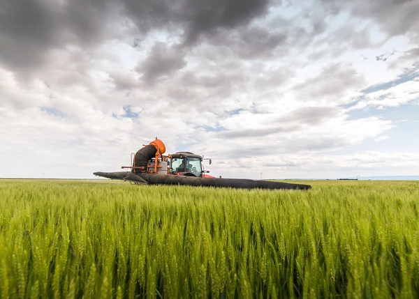 Tractor rociando campo de trigo — Foto de Stock