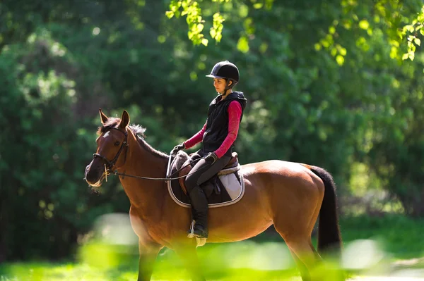 Young woman on a horse ride — Stock Photo, Image