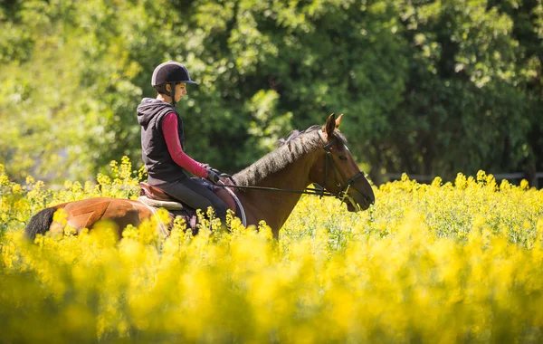 Flicka Rider en häst — Stockfoto