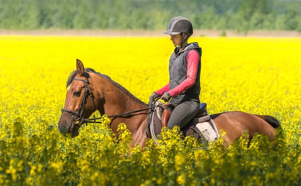 Chica monta a caballo — Foto de Stock