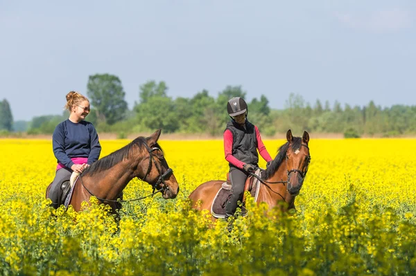 Girls rides a horse — Stock Photo, Image