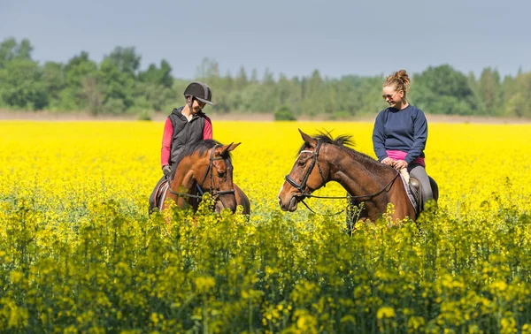 Girl rides a horse — Stock Photo, Image