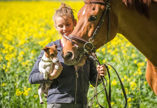 Chica con sus mascotas —  Fotos de Stock