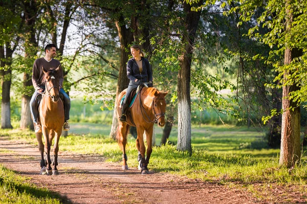 Young couple  riding a horse — Stock Photo, Image