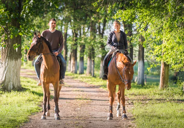 Young couple  riding a horse — Stock Photo, Image