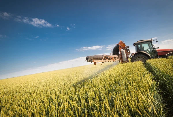 Traktor bespruta vete fält — Stockfoto