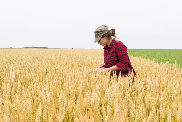 Agricultora en un campo de trigo —  Fotos de Stock