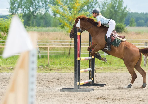 Horse jumping show — Stock Photo, Image