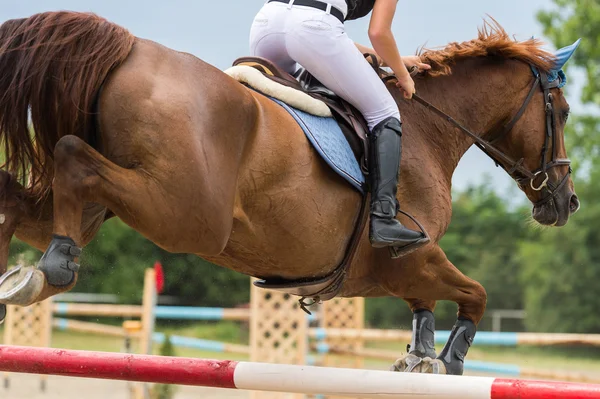 Spectacle de saut à cheval — Photo