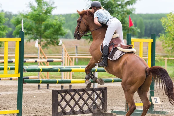 馬のショー ジャンプ — ストック写真