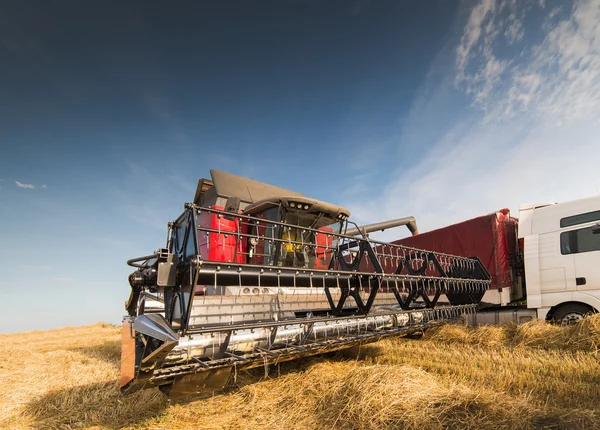 Harvesting of soy bean field — Stock Photo, Image