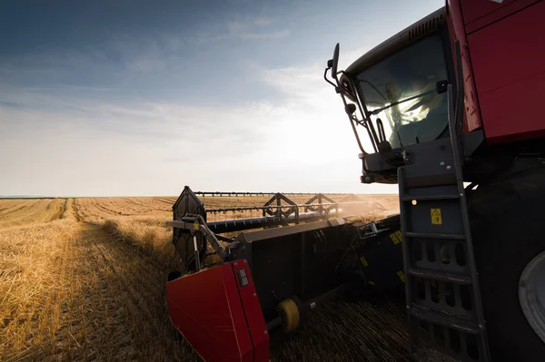 Oogsten van soy bean veld — Stockfoto