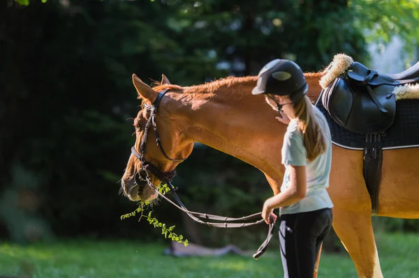 Chica acariciando un caballo —  Fotos de Stock