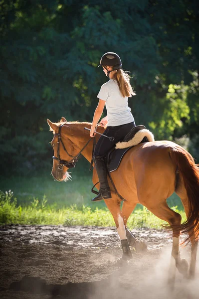 Chica montando un caballo — Foto de Stock