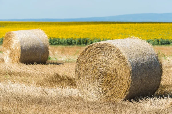 Harvested field with straw bales — Stock Photo, Image