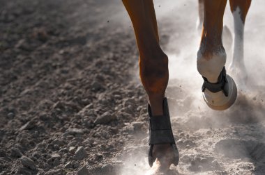 Horse legs running  clipart