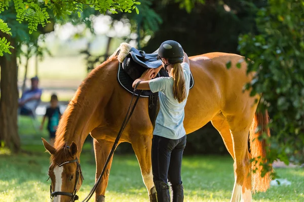 Girl with a  horse — Stock Photo, Image