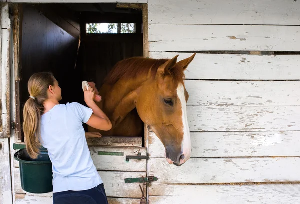 Girl with a horse — Stock Photo, Image