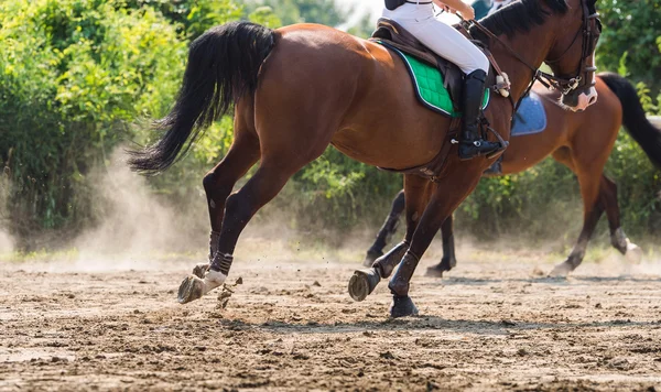 Fille monter un cheval — Photo