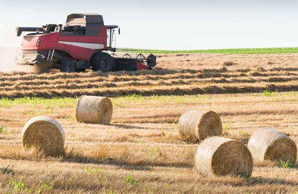 Harvesting of wheat field — Stock Photo, Image