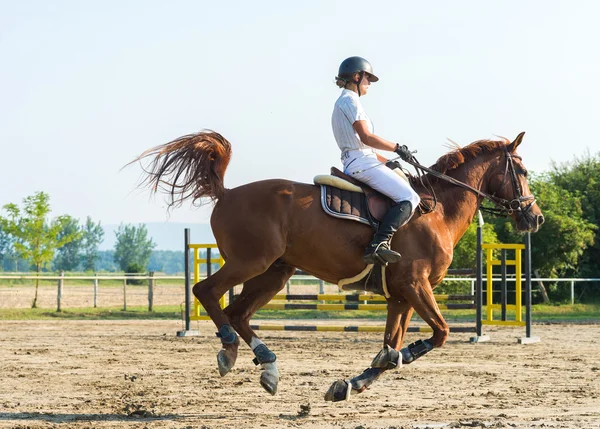 Fille monter un cheval — Photo