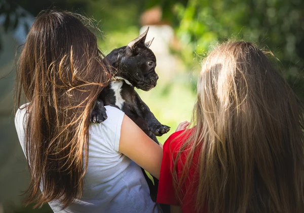 年轻女孩与法国斗牛犬小狗 — 图库照片