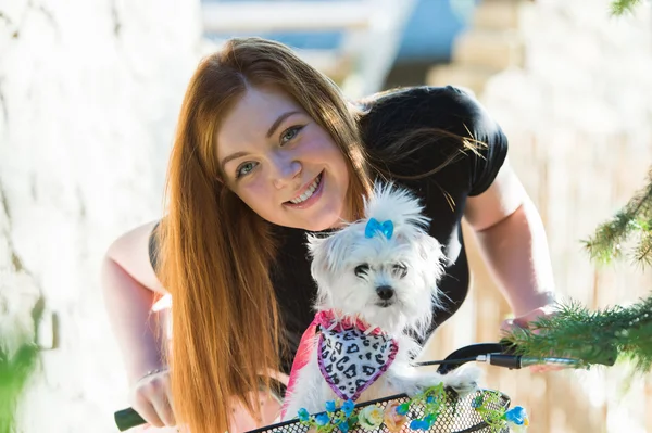 Pretty girl with bicycle and Maltese dog — Stock Photo, Image