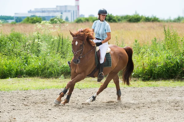 馬術競技、馬のジャンプ、ショーの跳躍 — ストック写真