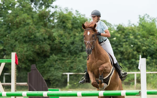 Activités Sportives, Saut d'chevaux, Saut d'obstacles — Photo