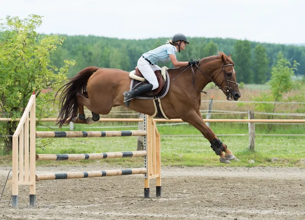 Esportes Equestres, Salto a cavalo, Saltar Show — Fotografia de Stock