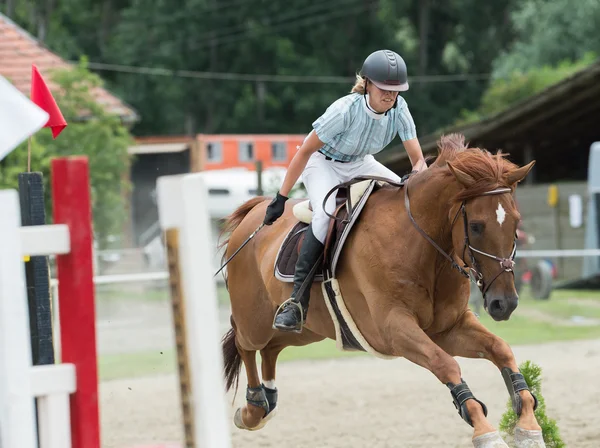 Activités Sportives, Saut d'chevaux, Saut d'obstacles — Photo