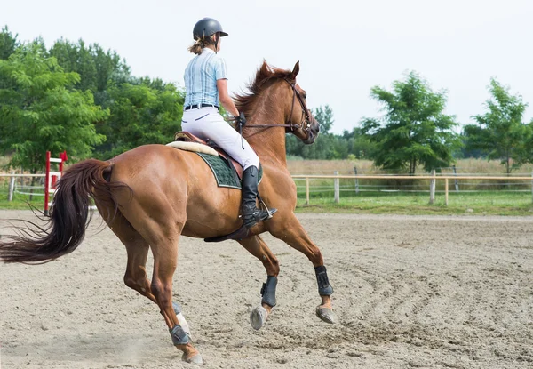 Esportes Equestres, Salto a cavalo, Saltar Show — Fotografia de Stock