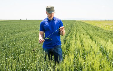 bir alandaki genç çiftçi 
