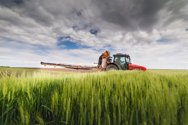 Traktor postřiku pšeničné pole — Stock fotografie