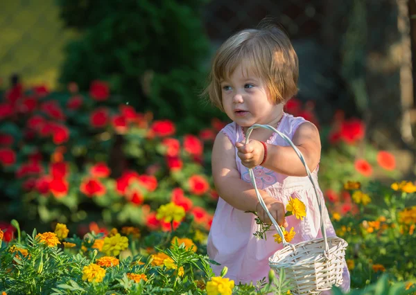 Meisje plukken bloemen — Stockfoto