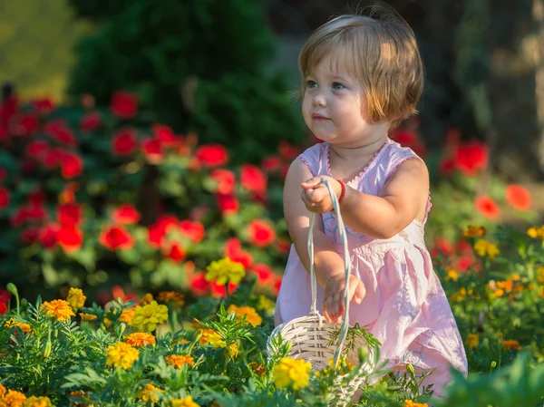 Menina colhendo flores — Fotografia de Stock