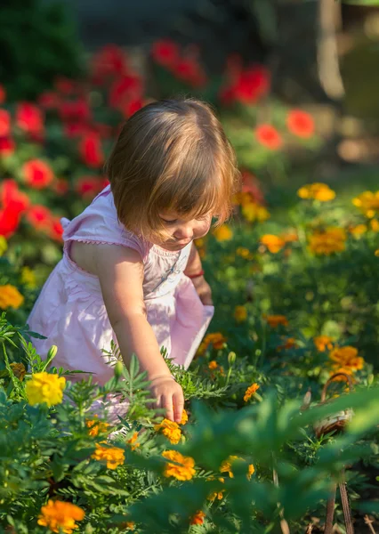 Menina colhendo flores — Fotografia de Stock
