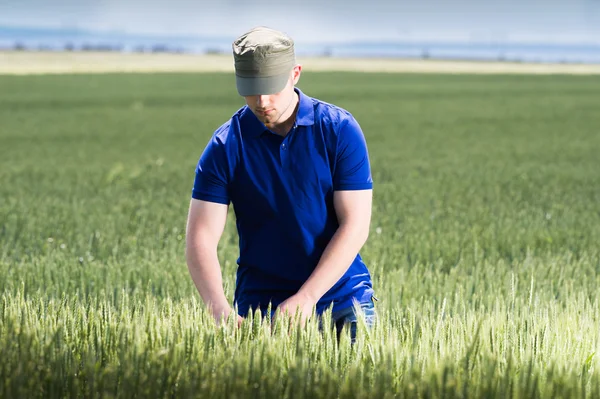 Giovane agricoltore in un campo — Foto Stock