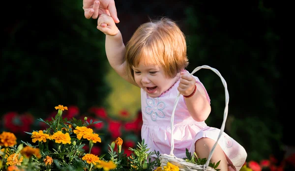 Meisje plukken bloemen — Stockfoto