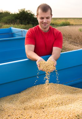 Soya fasulyesi tutan çiftçi 