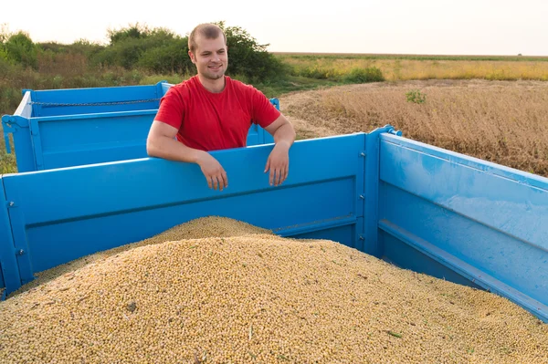 Farmer holding soy beans — Stock Photo, Image