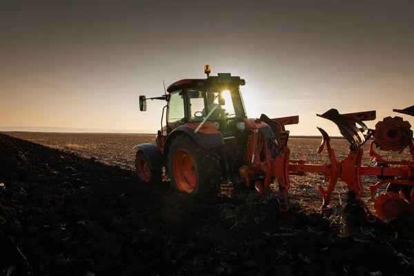 Traktor Szántja Mezőt Este Naplementekor — Stock Fotó