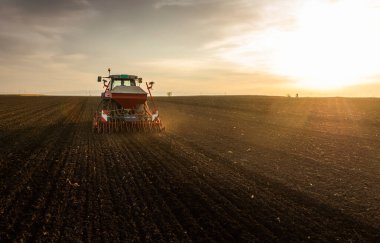Traktör tohumu eken bir çiftçi. Tarım tarlasına ekin ekiyor. Bitkiler, buğday.