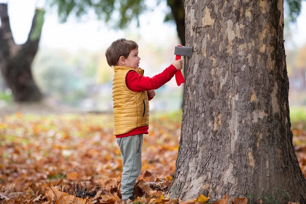 Cute Toddler Boy Playing Outdoors Autumn Day — Stock Photo, Image