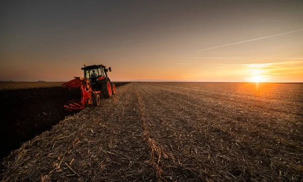 Trekker Ploegt Het Veld Avond Bij Zonsondergang — Stockfoto