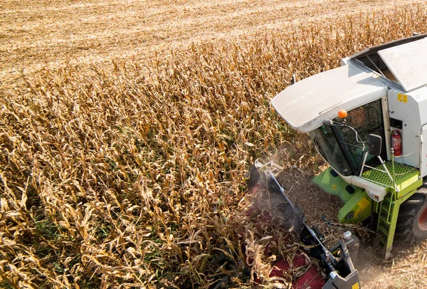 Combine Operator Harvesting Corn Field Sunny Day — Stock Photo, Image