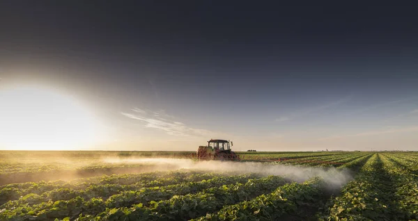 Traktör Baharda Sebze Tarlasına Böcek Ilacı Püskürtüyor — Stok fotoğraf